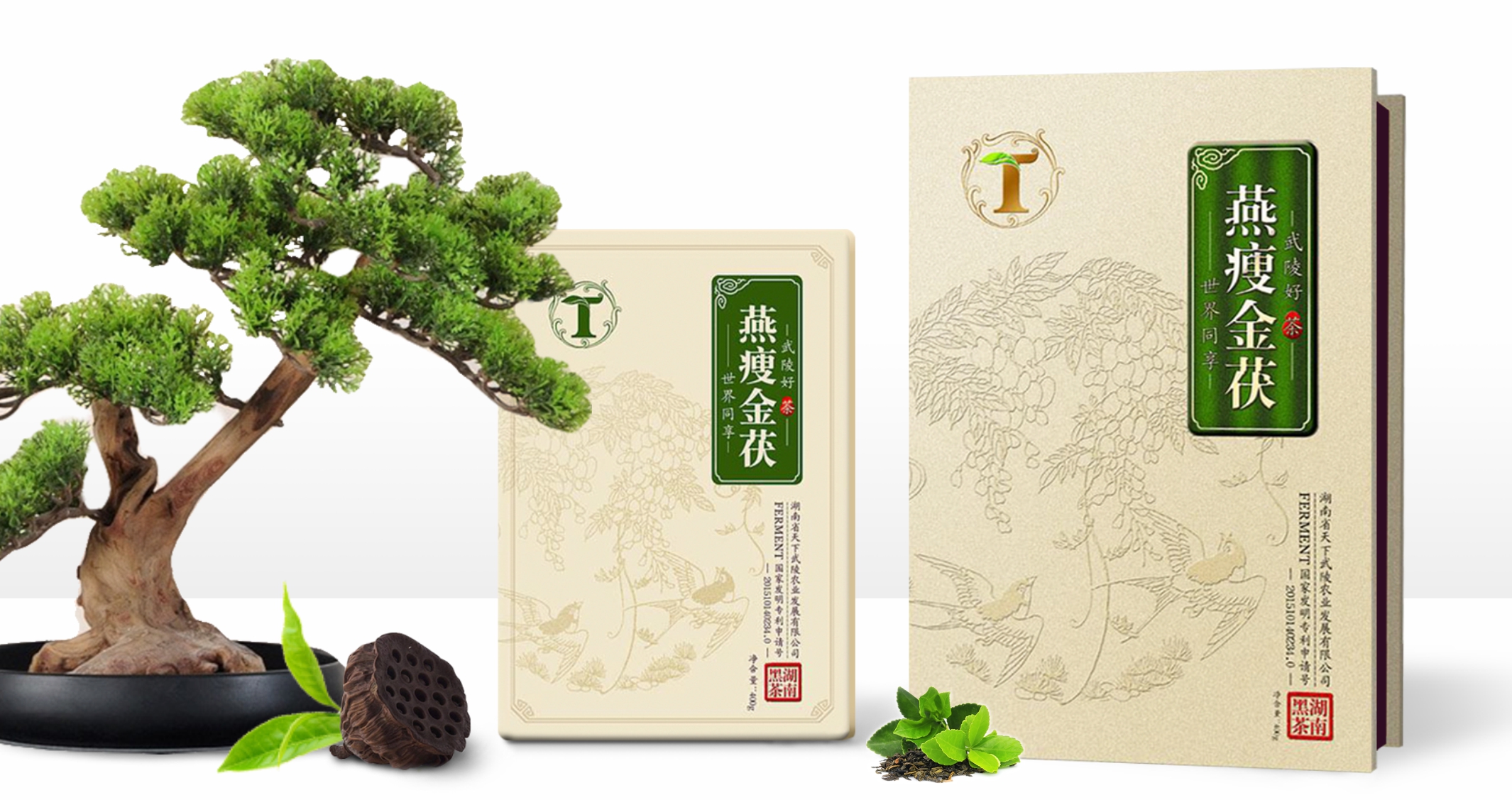 天下武陵：武陵好茶 世界共享