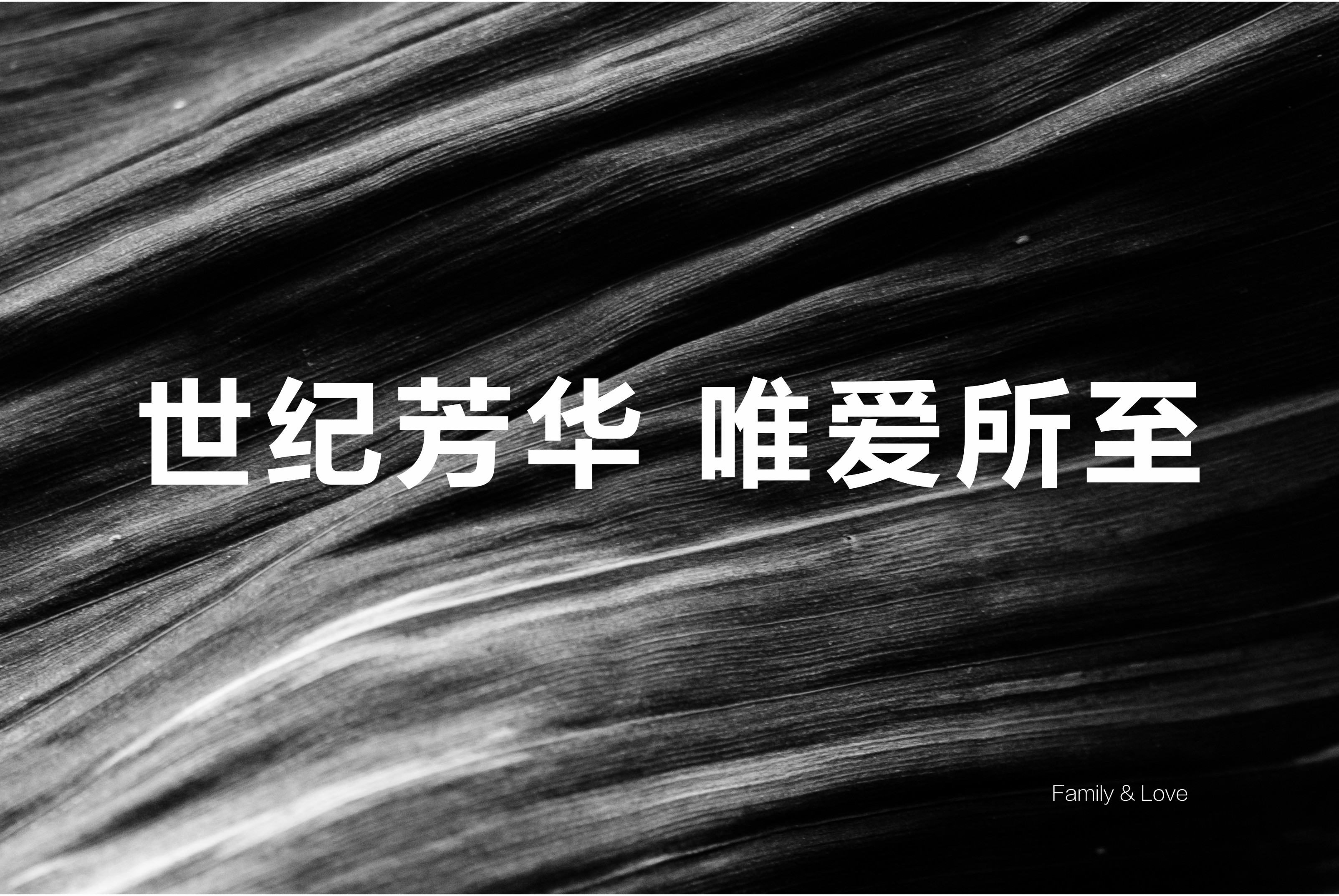 世纪家缘：世纪芳华  唯爱所至